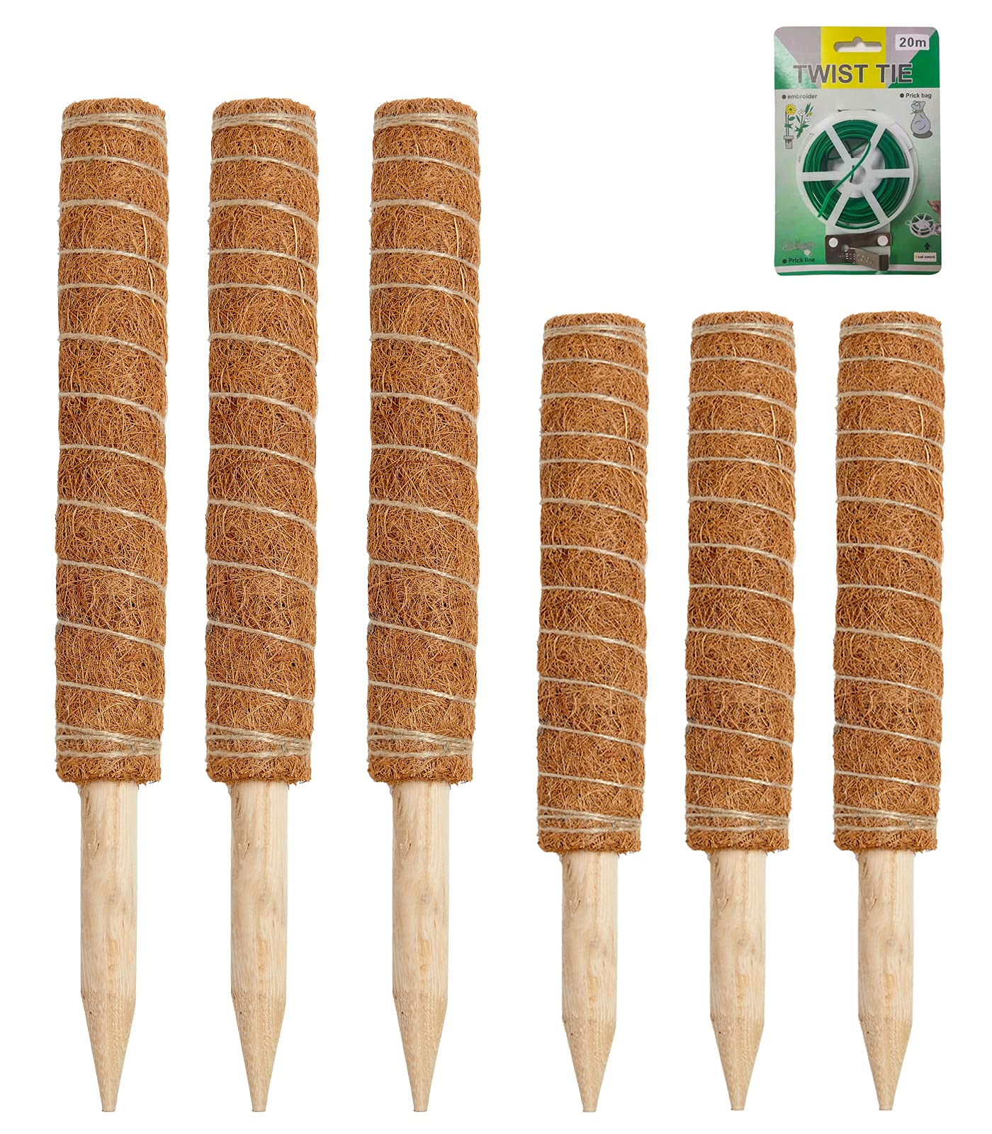 Amazon.com : Joyhalo Moss Pole Monstera Plant Support, 6 Pcs